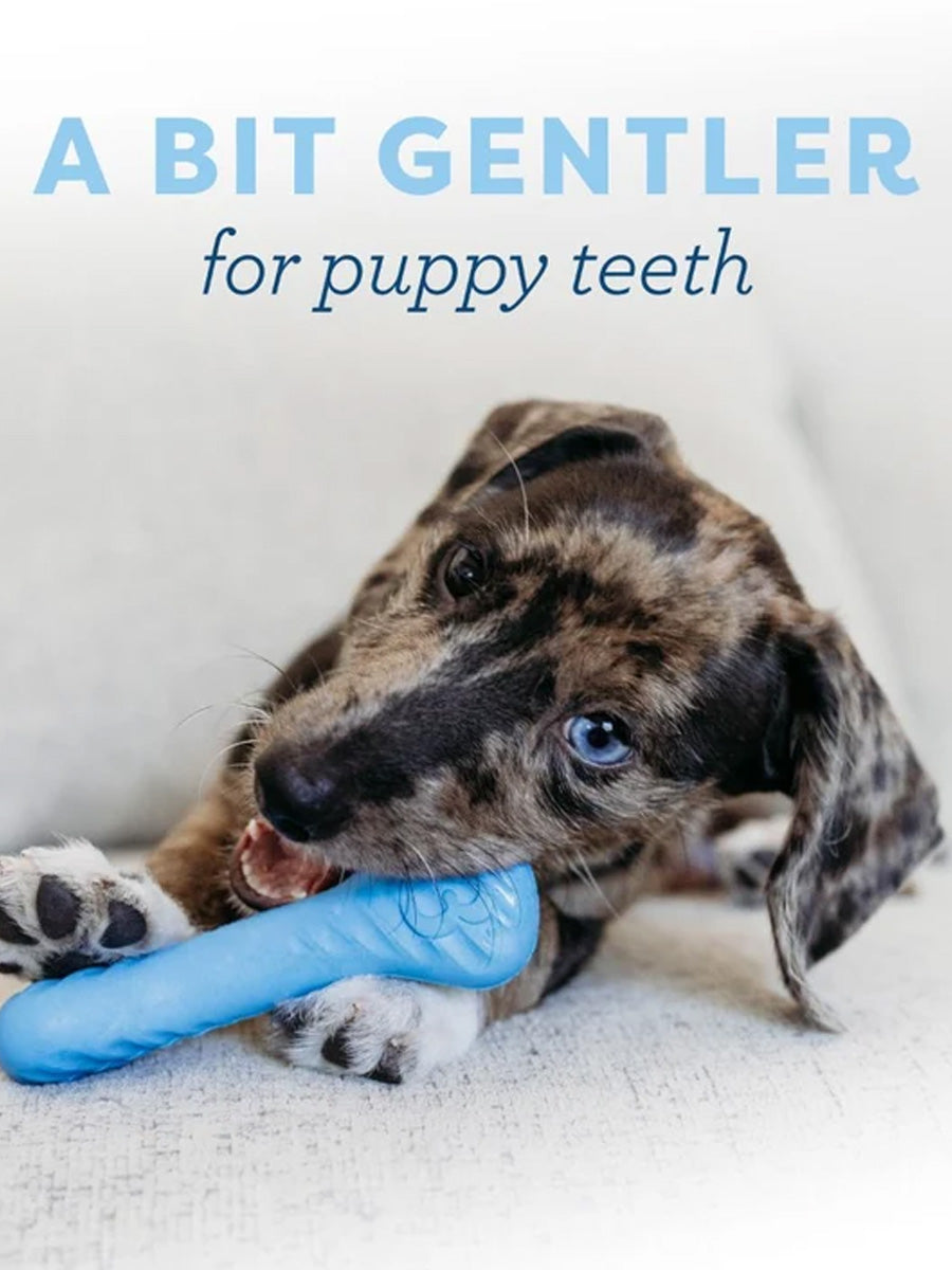 Benebone-pack-2-jouets-a-macher-pour-chiot-Dental-Rubber-Bone-wishbone