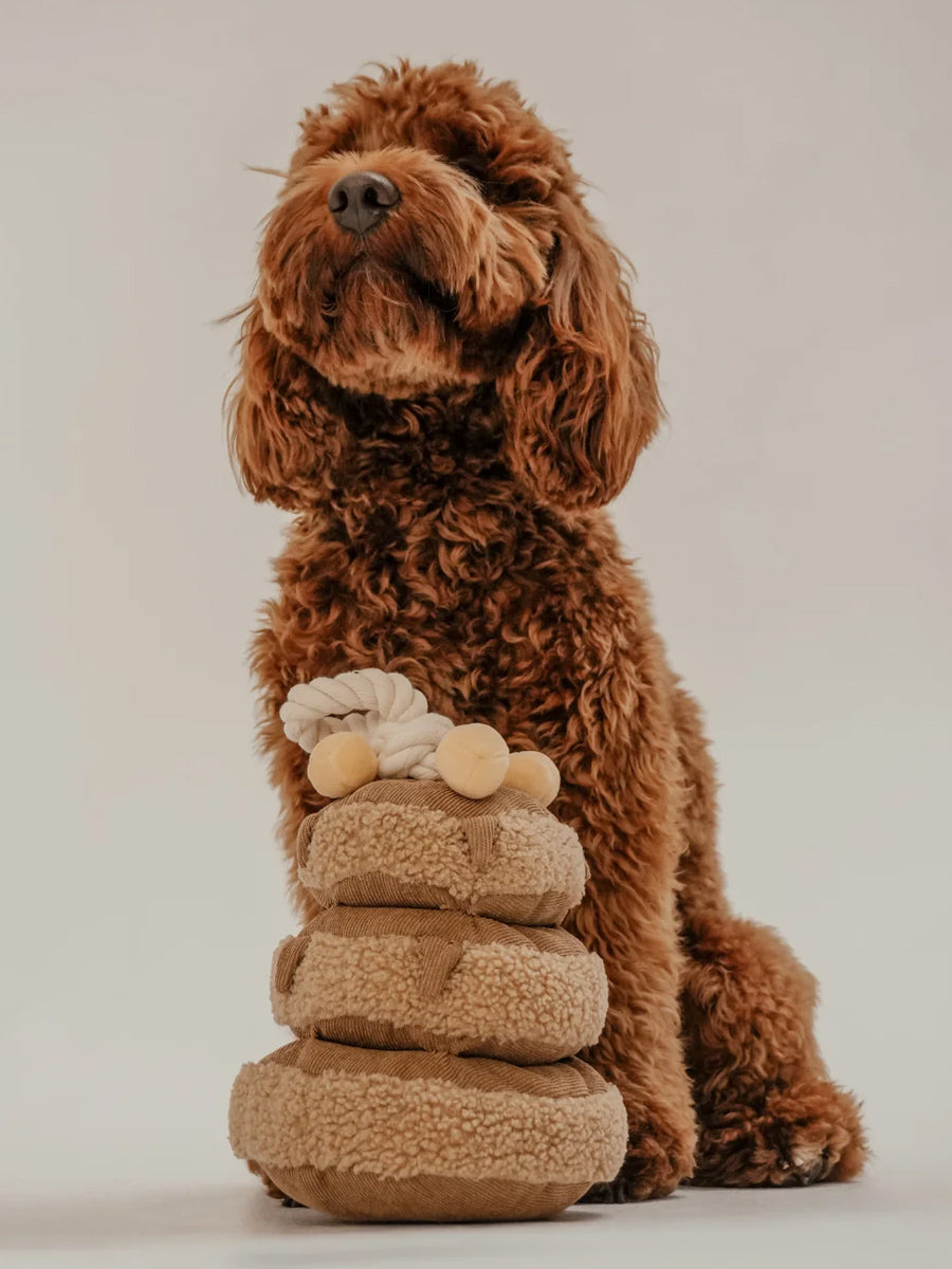 By-teddy-peluche-pour-chien-design-Maple-Pancake
