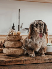 By-teddy-peluche-pour-chien-design-Maple-Pancake