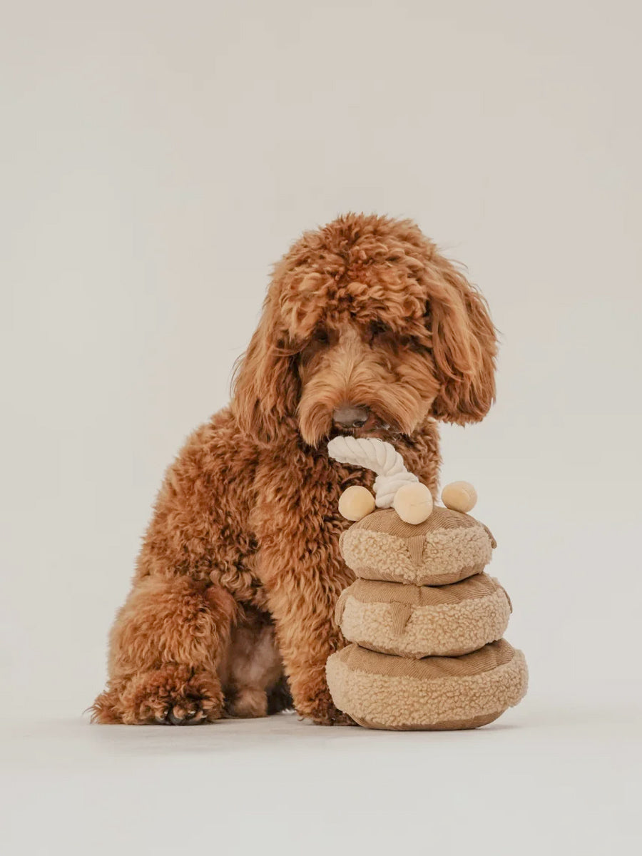 By-teddy-peluche-pour-chien-design-Maple-Pancake