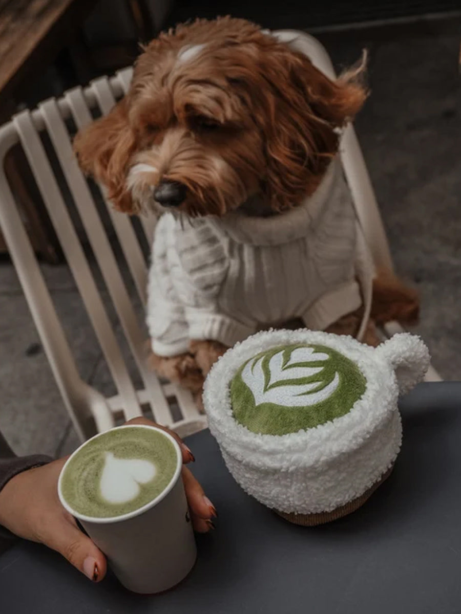 By-teddy-peluche-pour-chien-design-Matcha-Latte