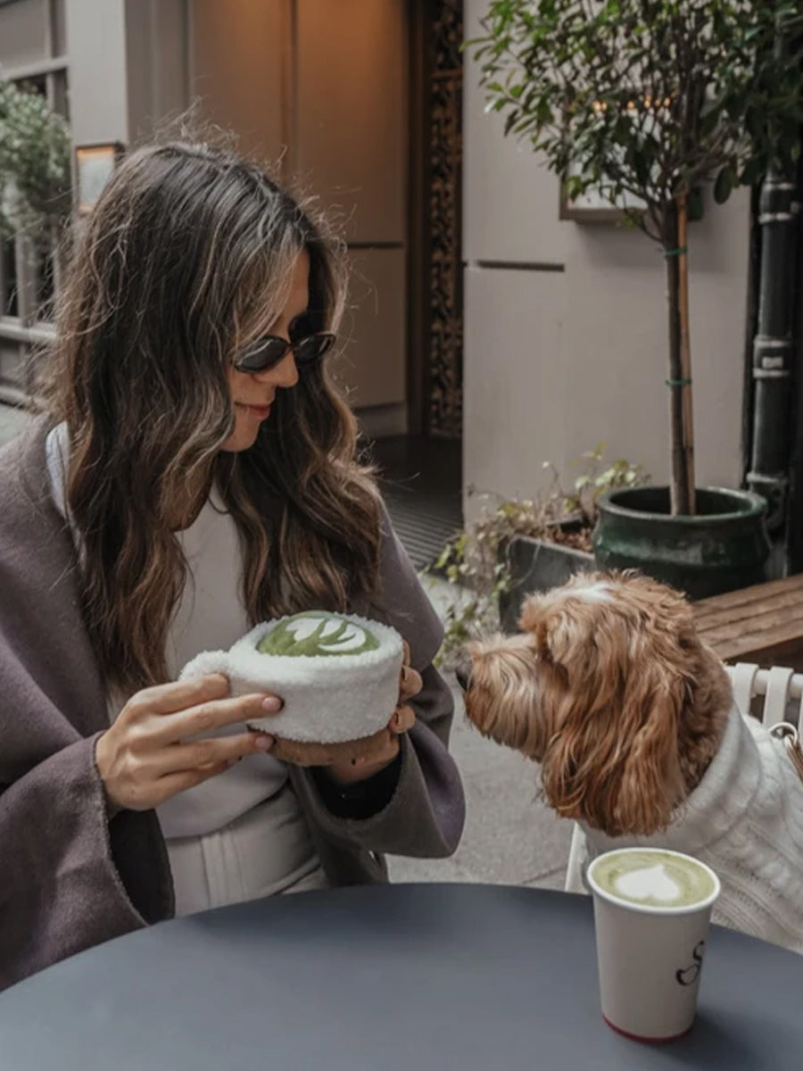 By-teddy-peluche-pour-chien-design-Matcha-Latte