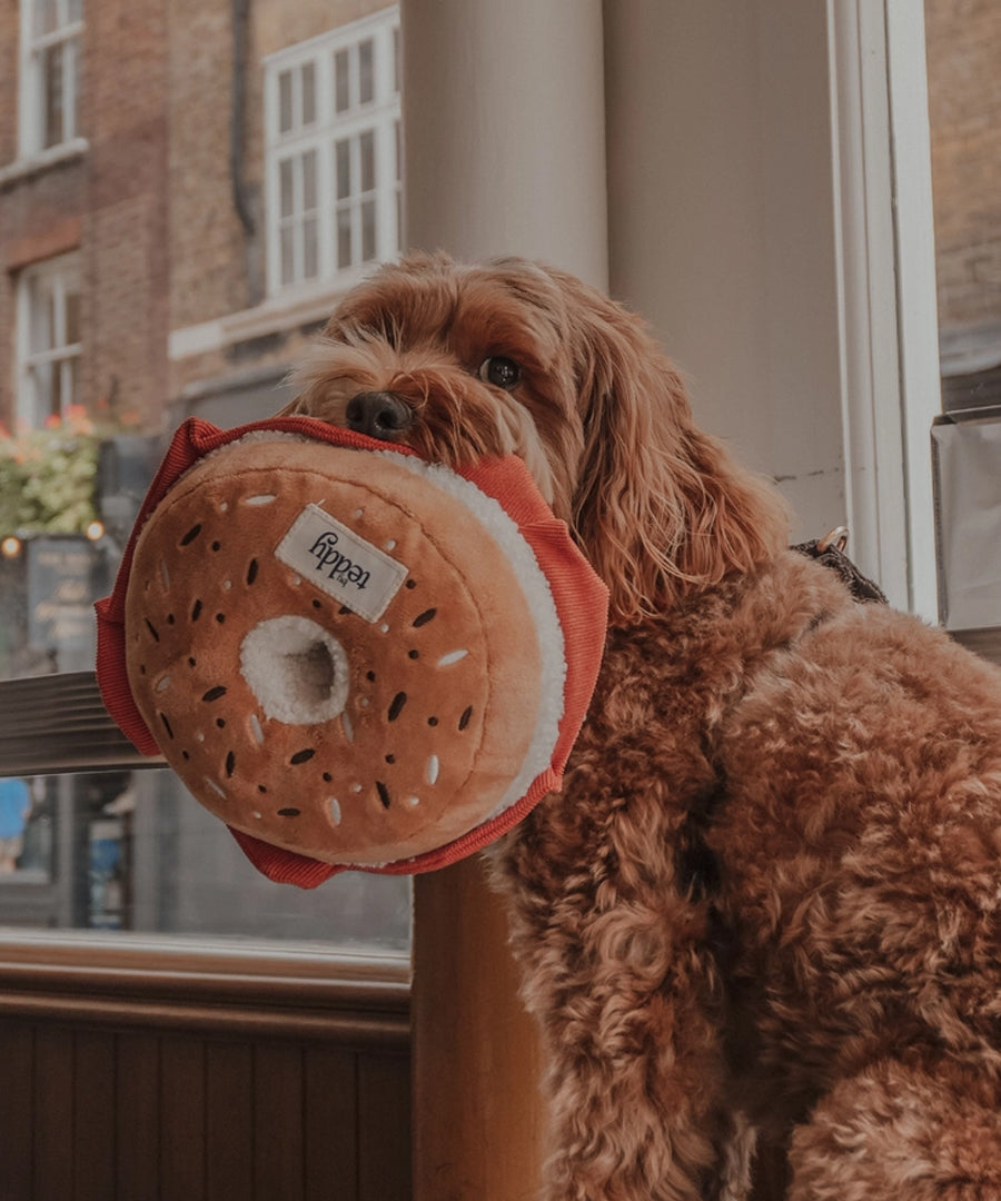 By-teddy-peluche-pour-chien-design-Salmon-Cream-Cheese-Bagel