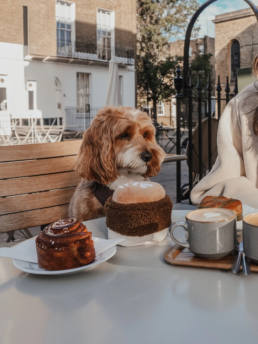 By-teddy-peluche-pour-chien-design-cafe-Flat_White