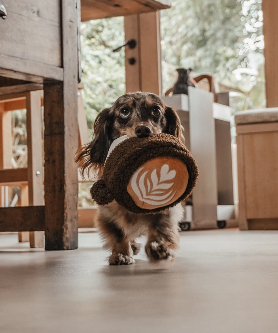By-teddy-peluche-pour-chien-design-cafe-Flat_White