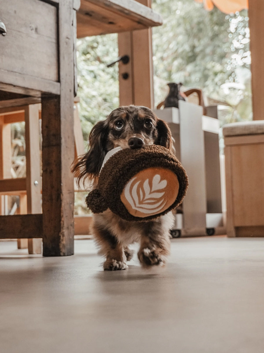 By-teddy-peluche-pour-chien-design-cafe-Flat_White