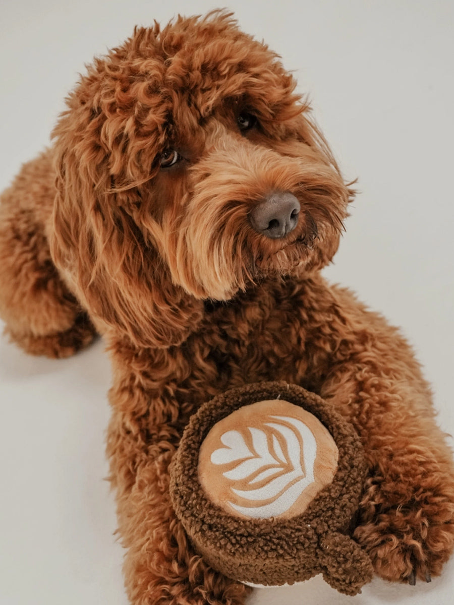 By-teddy-peluche-pour-chien-design-cafe-Flat_White