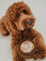 By-teddy-peluche-pour-chien-design-cafe-Flat_White