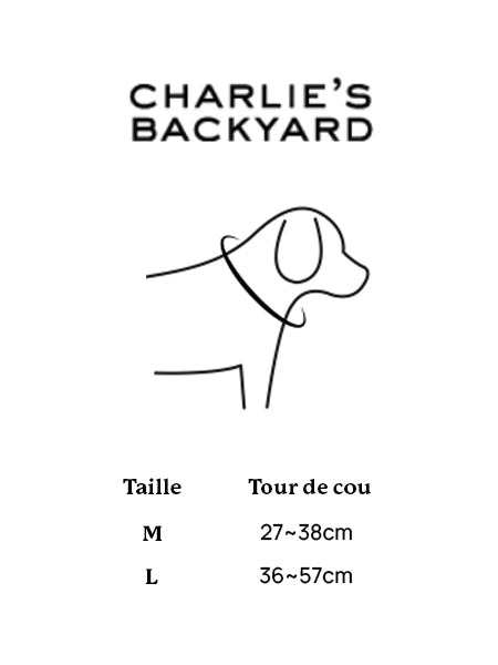     Charlie_s-Backyard-collier-pour-chien-town-jaune