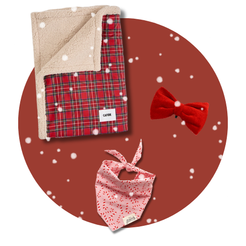 boutique de noël pour chien - Accessoires festifs