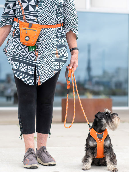 DOG-Copenhagen-sac-a-friandises-pour-chien-go-explorer-treat-bag-orange