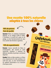 Delamour-friandise-premium-pour-chien-les-pepittes-saumon