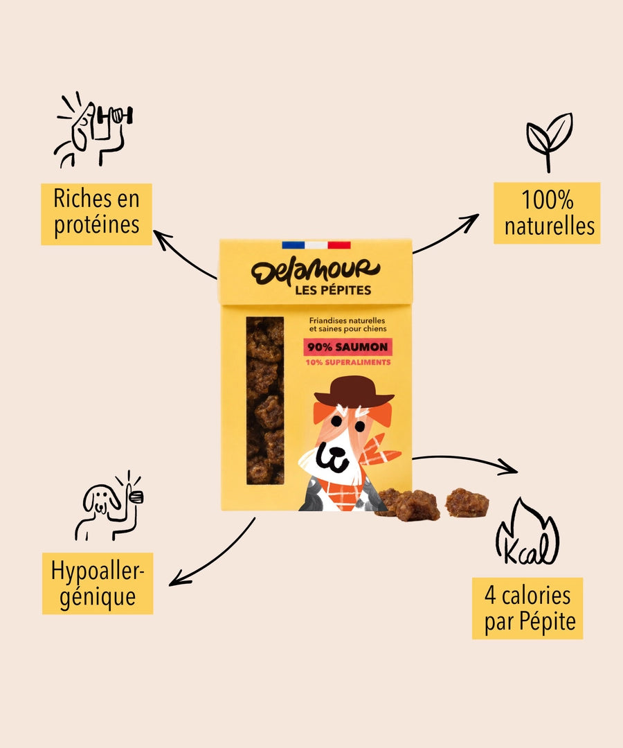 Delamour-friandise-premium-pour-chien-les-pepittes-saumon