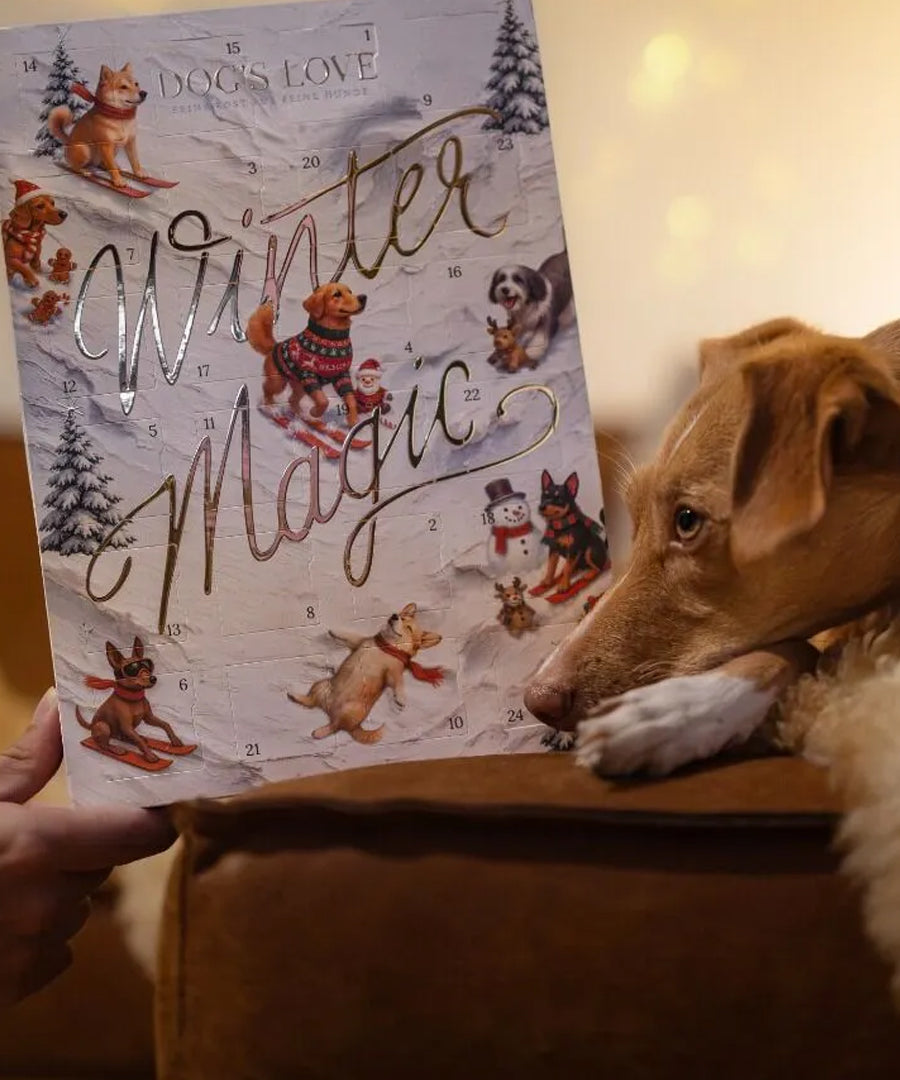 Dogs-Love-calendrier-de-l-avent-pour-chien-2026