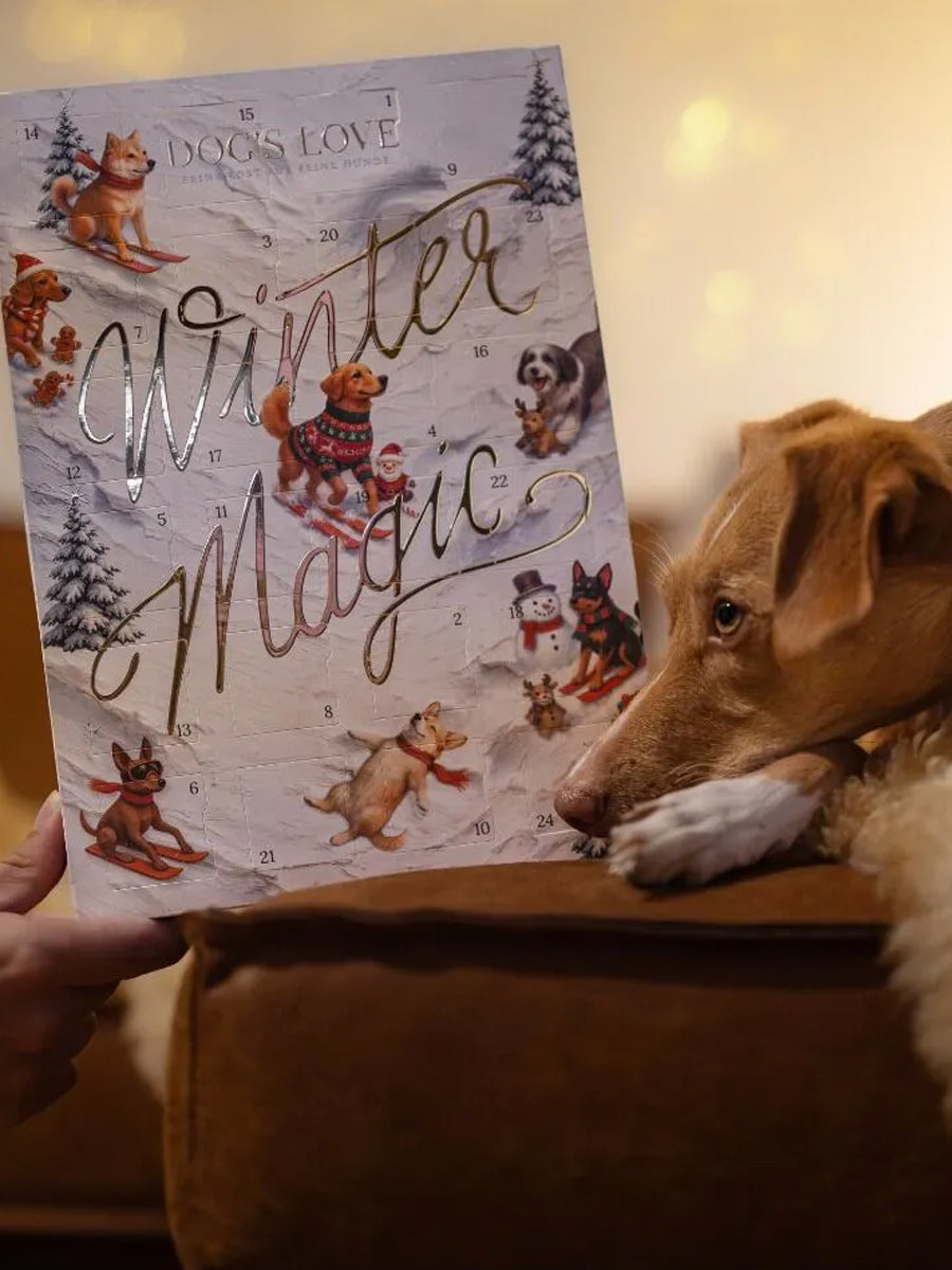Dogs-Love-calendrier-de-l-avent-pour-chien-2026