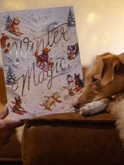 Dogs-Love-calendrier-de-l-avent-pour-chien-2026