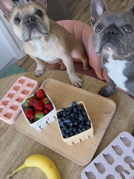 EmeryPets-moule-friandises-pour-chien