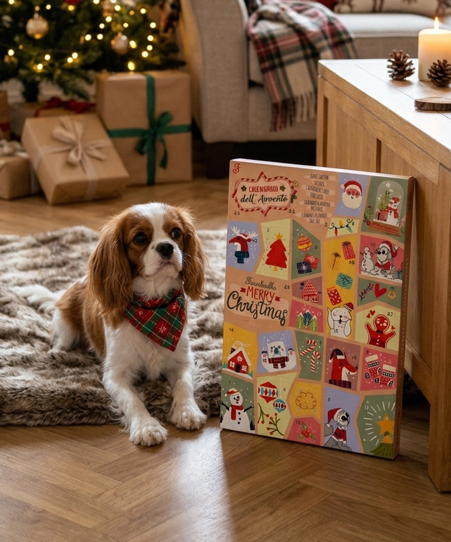 Ferribiella-calendrier-avent-pour-chien-noel-bone-fruit