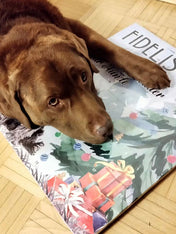 Fidelis-sanadog-calendrier-de-l-avent-pour-chien-chiot