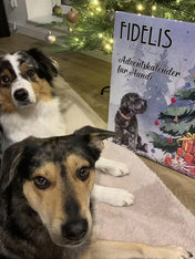 Fidelis-sanadog-calendrier-de-l-avent-pour-chien-chiot