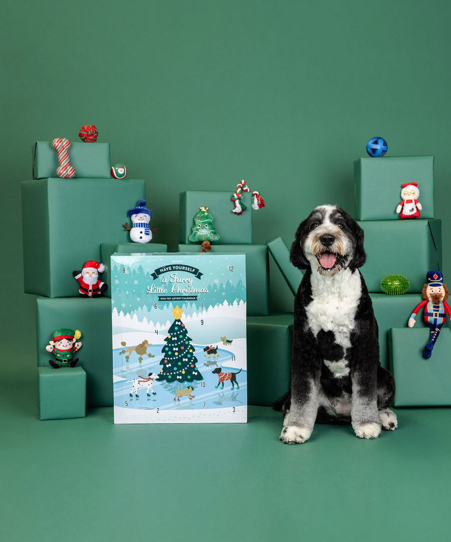Fringe-petshop-calendrier-avent-pour-chien-xxl-peluche