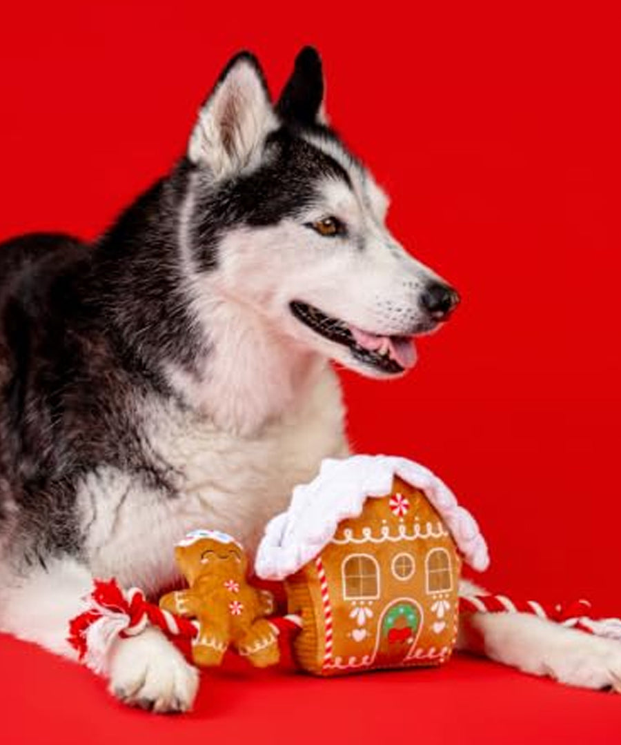 Fringe-petshop-peluche-design-chien-maison-pain-epice