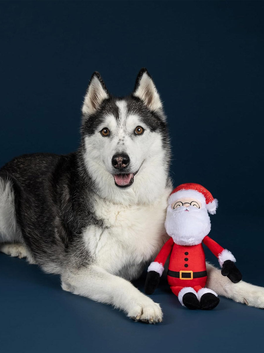 Fringe-petshop-peluche-design-chien-noel-pere-noel