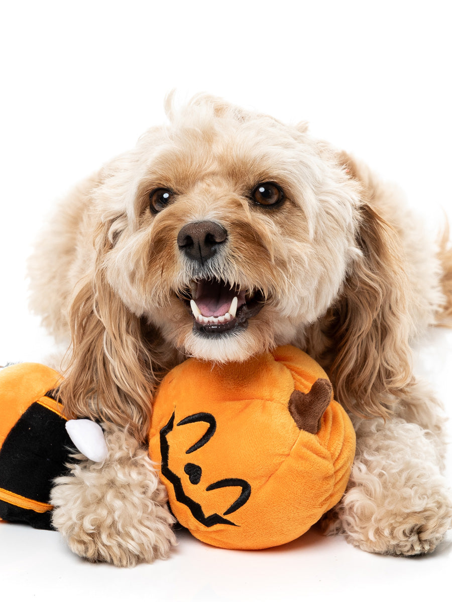 Fuzzyard-peluche-pour-chien-originale-halloween-Mr-citrouille