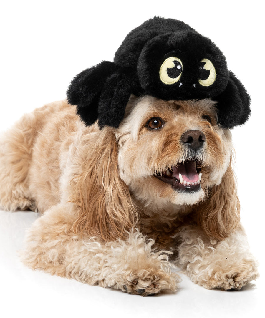 Fuzzyard-peluche-pour-chien-originale-halloween-araignee-noire-rouge