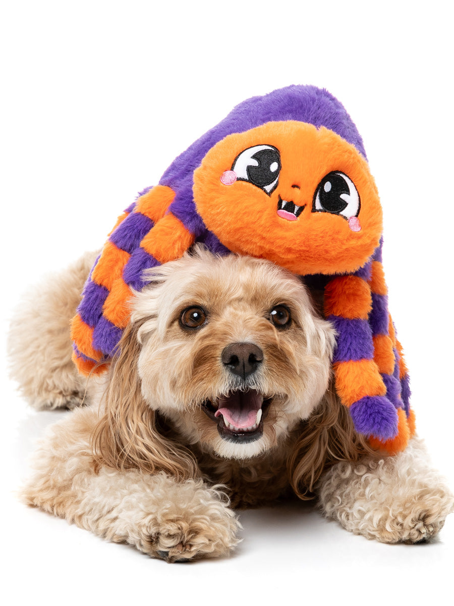Fuzzyard-peluche-pour-chien-originale-halloween-araignee-orange-violette