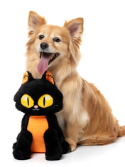Fuzzyard-peluche-pour-chien-originale-halloween-chat-noir-orange
