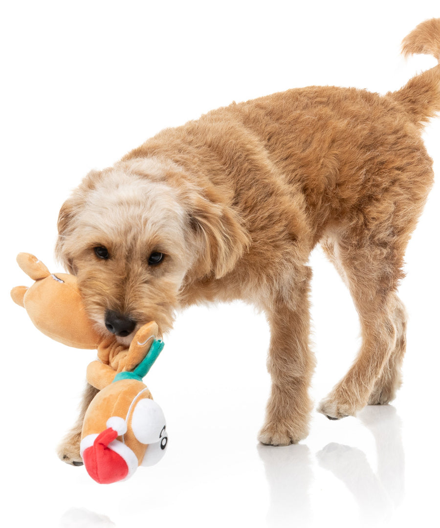 Fuzzyard-peluche-pour-chien-pain-epice-noel-accordeon