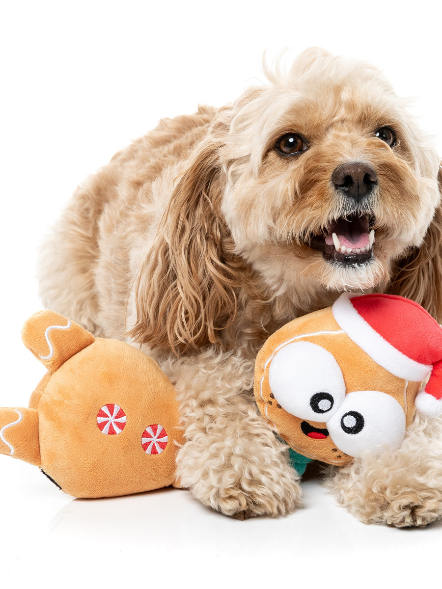Fuzzyard-peluche-pour-chien-pain-epice-noel-accordeon