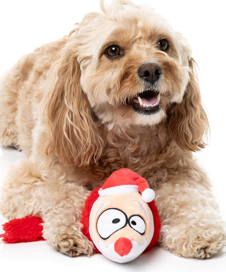 Fuzzyard-peluche-pour-chien-souris-pere-noel