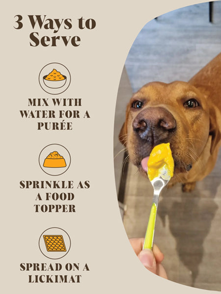 Hackney-Dog-House-complement-alimentaire-chien-digestion-probiotic