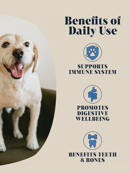 Hackney-Dog-House-complement-alimentaire-chien-lait-de-chevre