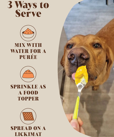Hackney-Dog-House-complement-alimentaire-chien-poudre-de-citrouille