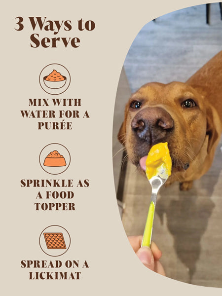 Hackney-Dog-House-complement-alimentaire-chien-poudre-de-citrouille