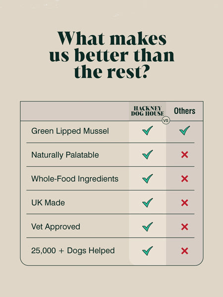 Hackney-Dog-House-complement-alimentaire-chien-poudre-de-moule-verte