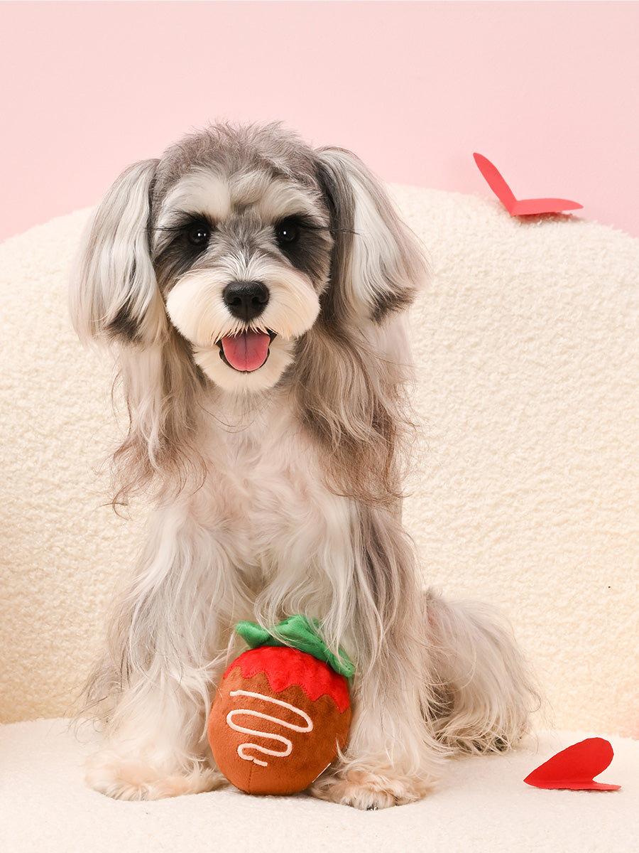 HugSmart-peluche-balle-pour-chien-chiot-fraise-chocolat