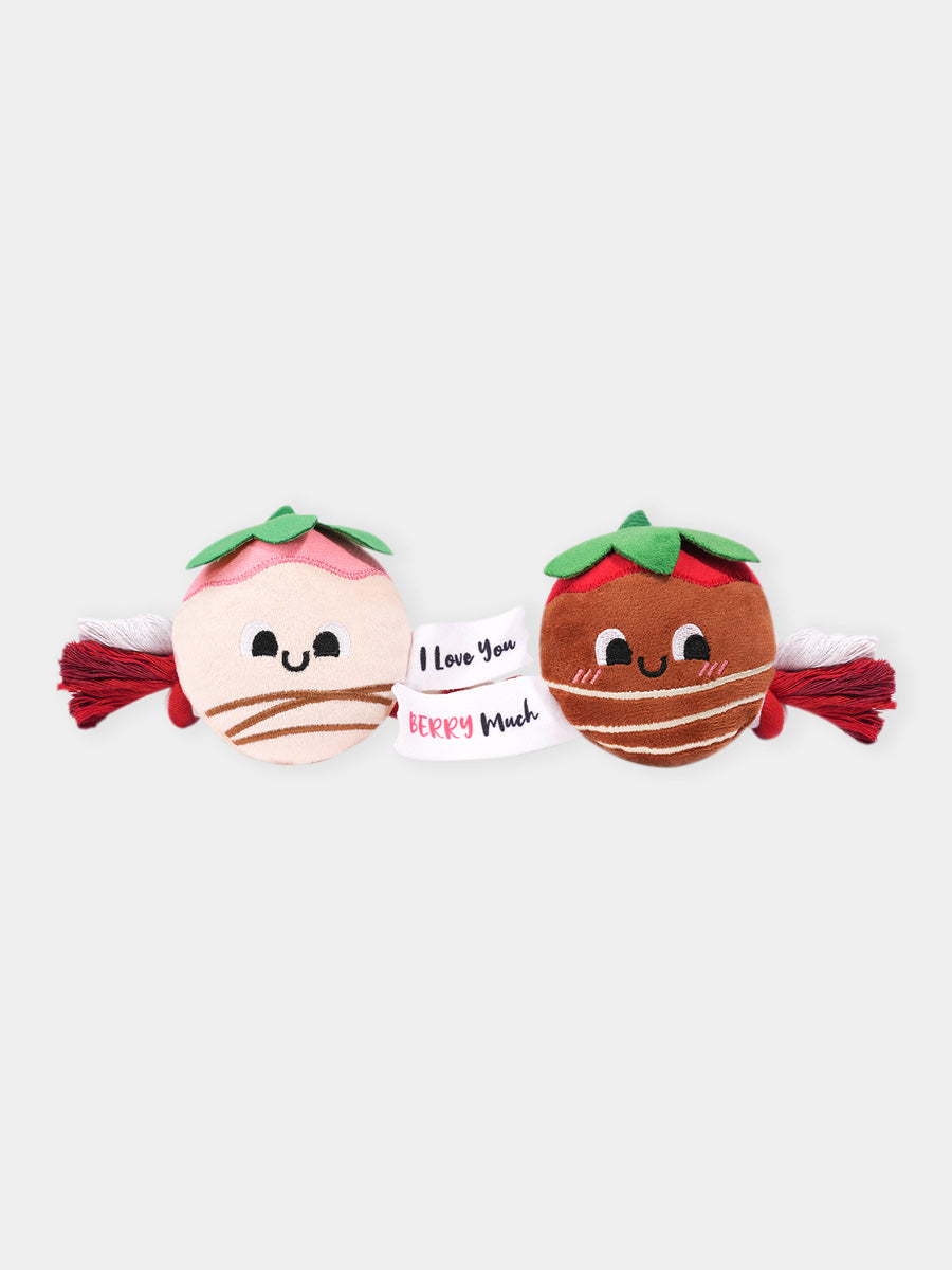 HugSmart-peluche-corde-pour-chien-chiot-fraise