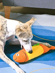 HugSmart-peluche-interactive-pour-chien-chiot-Food-Party-Shaky-Fish-Taco