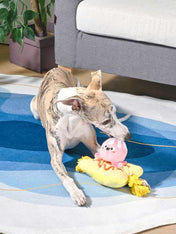 HugSmart-peluche-interactive-pour-chien-chiot-banana-split
