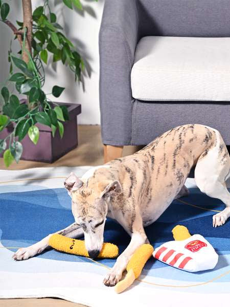 HugSmart-peluche-interactive-pour-chien-chiot-mozza-stick