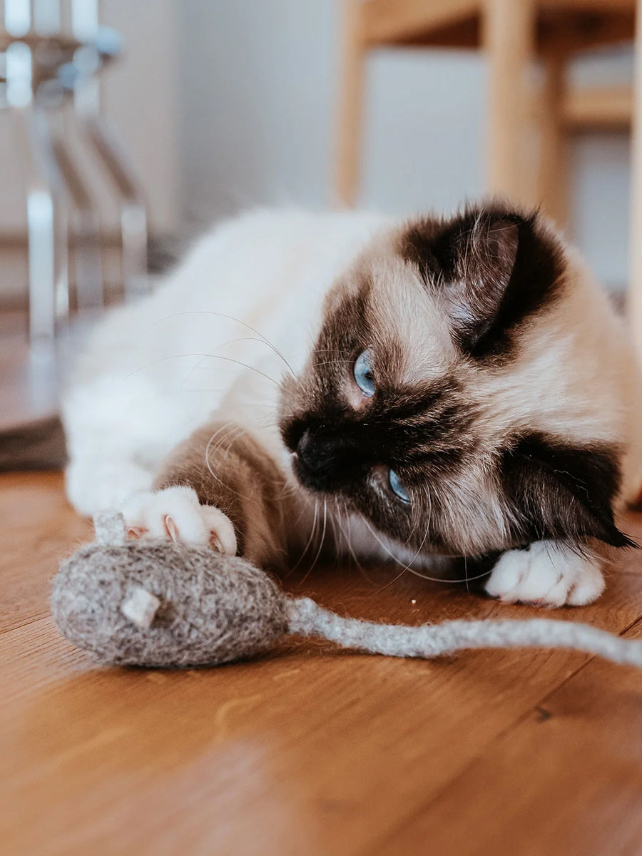 Hunter-Jouet-pour-chat-en-laine-souris-gris
