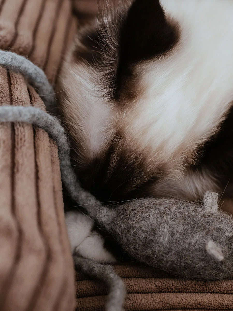 Hunter-Jouet-pour-chat-en-laine-souris-gris