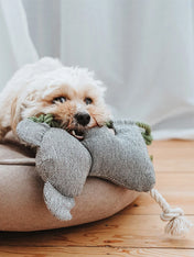 Hunter-peluche-chien-tout-doux-koala-corde