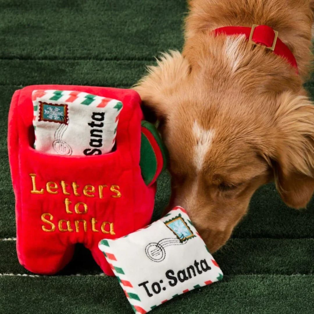 Inooko_boutique_de_noel_pour_chien_et_chat.jpg