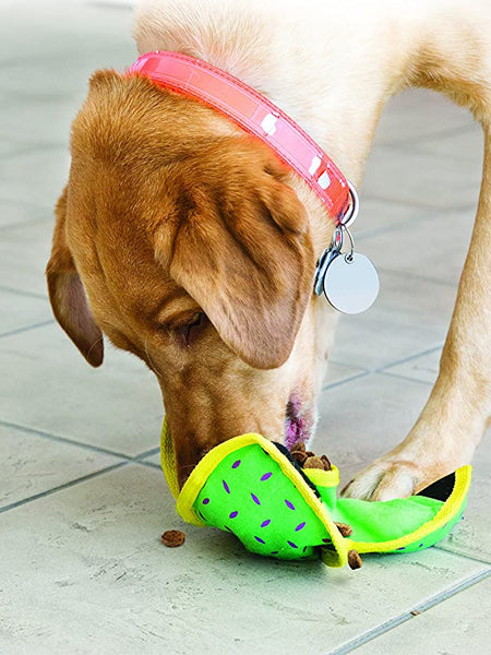       Kong-ballistic-jouet-fouille-distributeur-friandises-pour-chien-chiot-hide-_n-treat