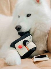 Lambwolf-Collective-jouet-design-minimalist-pour-chien-appareil-photo